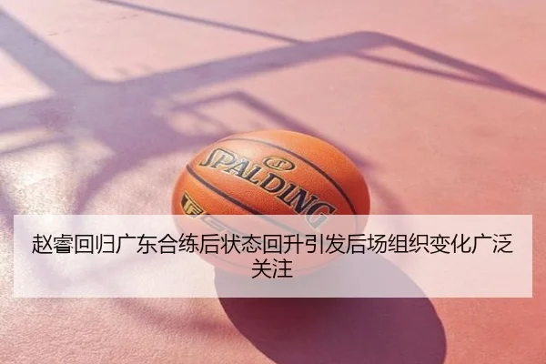 赵睿回归广东合练后状态回升引发后场组织变化广泛关注